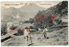 pressa ballette fieno usato pressa ballette fieno usato Mori