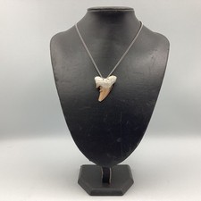 Colar de dente de tubarão com costas de prata esterlina (J1) NS#8841 comprar usado  Enviando para Brazil