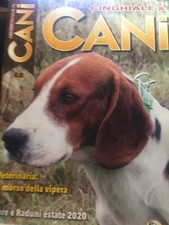 Cinghiale cani 2020 usato Cinghiale cani 2020 usato  Campagna