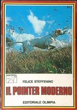 Pointer moderno steffenino usato  Italia