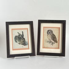 Owl rabbit framed for sale  South Jordan