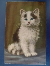 Vintage colour cat for sale  POTTERS BAR