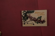 427618 blütenzauber china gebraucht kaufen 427618 blütenzauber china gebraucht kaufen  Herzebrock-Clarholz