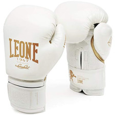 Leone 1947 gn059 usato  Roccagloriosa