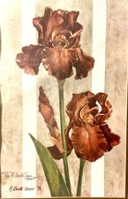 Vintage 1976 floral for sale  Fredericksburg