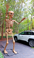 Foot giant skeleton for sale  Clifton Park