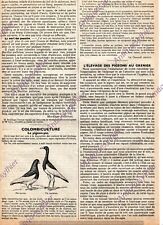 The pigeon pie d'occasion  Expédié en Belgium