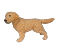 Vintage golden retriever for sale  Goshen