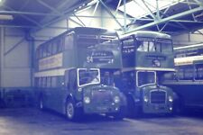 Luton buses colour for sale  BIRMINGHAM