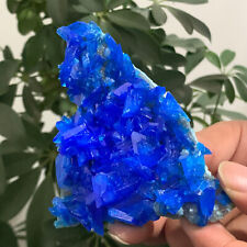 Usado, Cura de espécime mineral sulfato de cobre azul natural 123G comprar usado  Enviando para Brazil