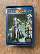 Pegaso models 75mm for sale  DARLINGTON