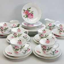 Rosina china mottisfont for sale  BATH