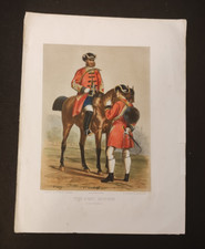 Cavallo cavaliere con usato  Albano Laziale