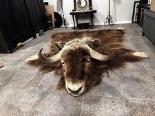 Muskox rug taxidermy for sale  Tacoma