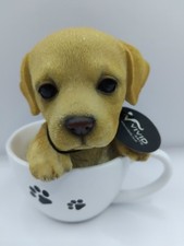 Vivid arts labrador for sale  CHELMSFORD
