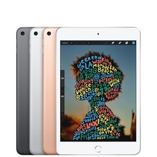 Apple ipad mini for sale  Somerset