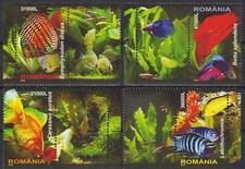 Romania 2005 pesci usato  Trambileno