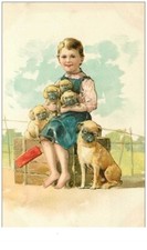 Chien 38143.humanisé.pekinois d'occasion  France