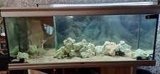 Aquarium complet d'occasion  Osny