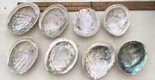 Vintage shells whole for sale  LEIGHTON BUZZARD