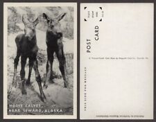 Old alaska postcard for sale  Niagara Falls
