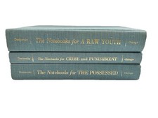 The Dostoevsky Notebooks Lot 3 Raw Youth Possessed Raw Youth Crime & Punishment comprar usado  Enviando para Brazil