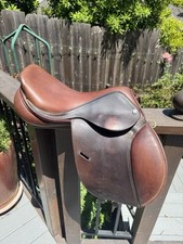 Pessoa rodrigo pony for sale  San Carlos