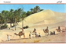Tunisie caravane d'occasion  France
