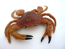 Vintage sand crab for sale  Hamilton