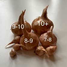 Pre treated bio for sale  OXFORD