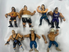 Wwf wwe hasbro for sale  Pittsfield