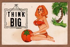 Think big busty for sale  Shipping to United Kingdom