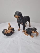North light rottweiler d'occasion  Expédié en Belgium