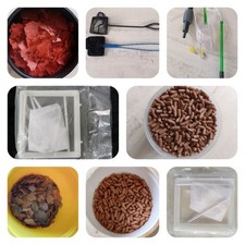 zierfische gebraucht kaufen zierfische gebraucht kaufen Großostheim