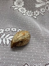 Tremar hedgehog inches for sale  KETTERING
