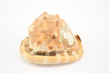 Victorian medium sized for sale  LEEDS