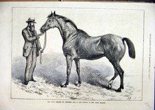 Original old antique for sale  UK