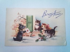chien chats d'occasion chien chats d'occasion Expédié en Belgium