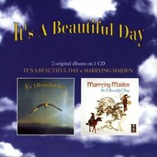 Beautiful day it gebraucht kaufen  Berlin