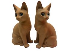 Siamese blue eyed for sale  Camano Island