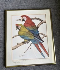 Vintage 12x10 macaw for sale  Goldendale