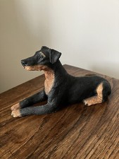 Doberman pinscher castagna for sale  UK