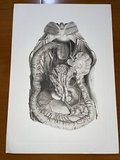 Litografia organi interni usato  Virle Piemonte