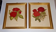 Vintage botanical prints for sale  Pensacola