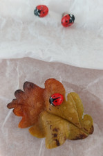 Ladybird leaf brooch for sale  UK
