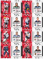 Del playercards 2024 gebraucht kaufen  Düsseldorf