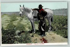 39354270 gaucho criollo gebraucht kaufen  Eimeldingen