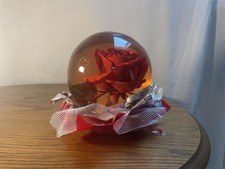 Floating forever rose for sale  Stratford