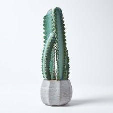 Hylocereus artificial cactus for sale  LONDON