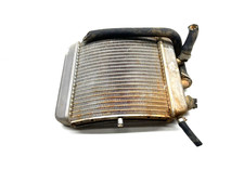 Radiatore radiator acqua usato  Frattaminore